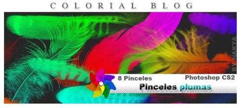 colorial-pinceles-plumas